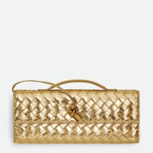 Bottega veneta andiamo clutch