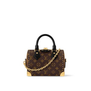 Louis  Vuitton speedy trunk 20